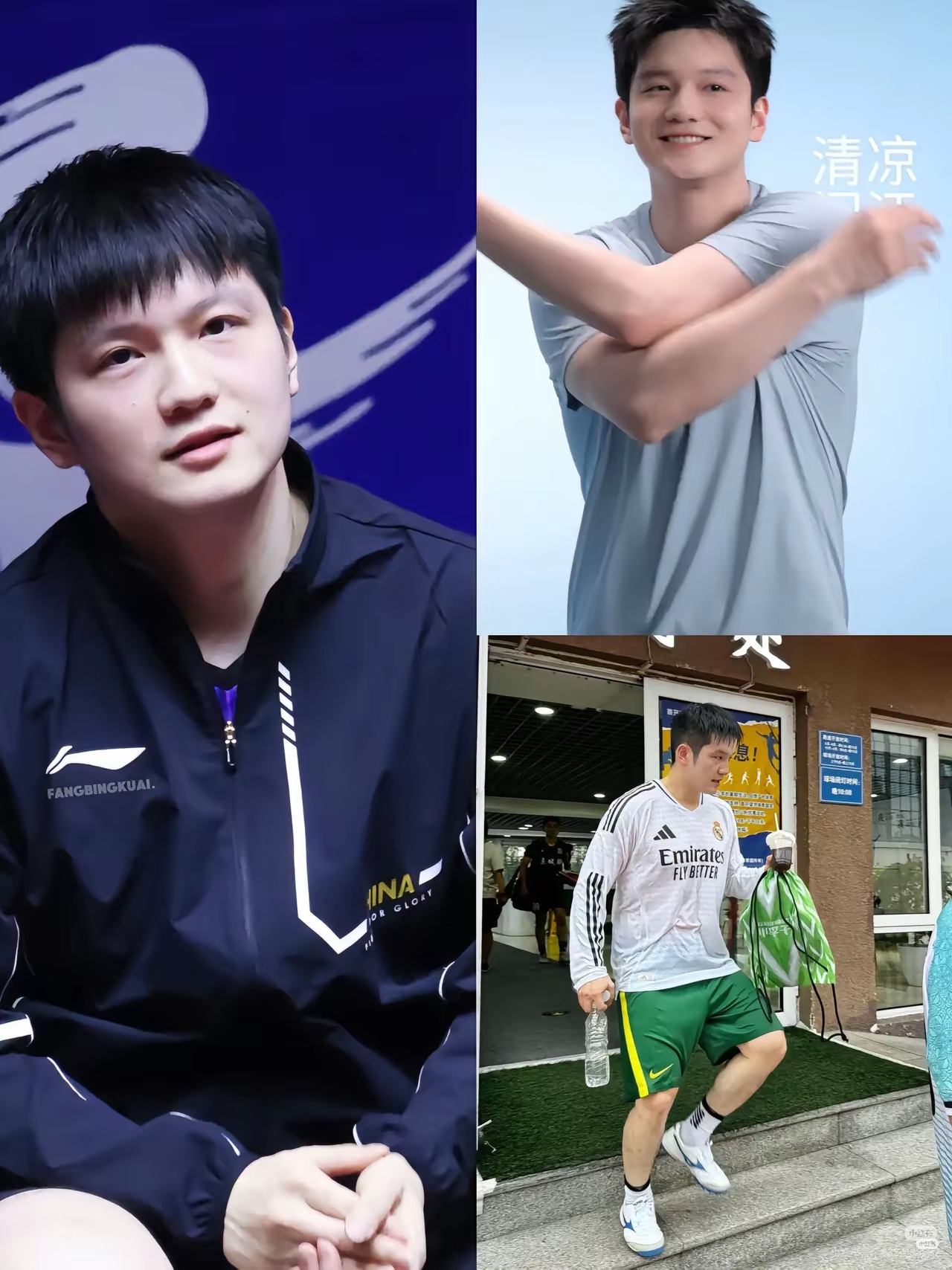 开云体育入口-日本队横扫法国队，樊振东惊艳四座