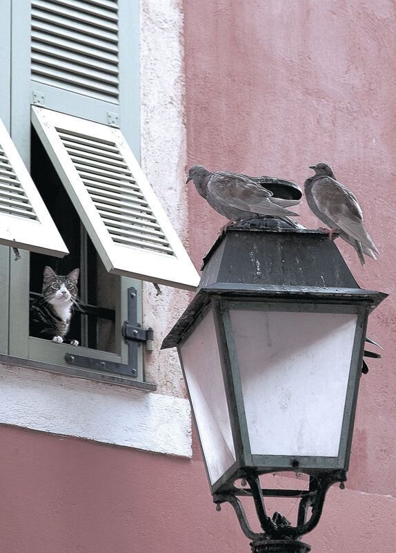 开云体育官方网站-杜兰特狂砍45分难救主，火箭决胜局险胜勇士晋级